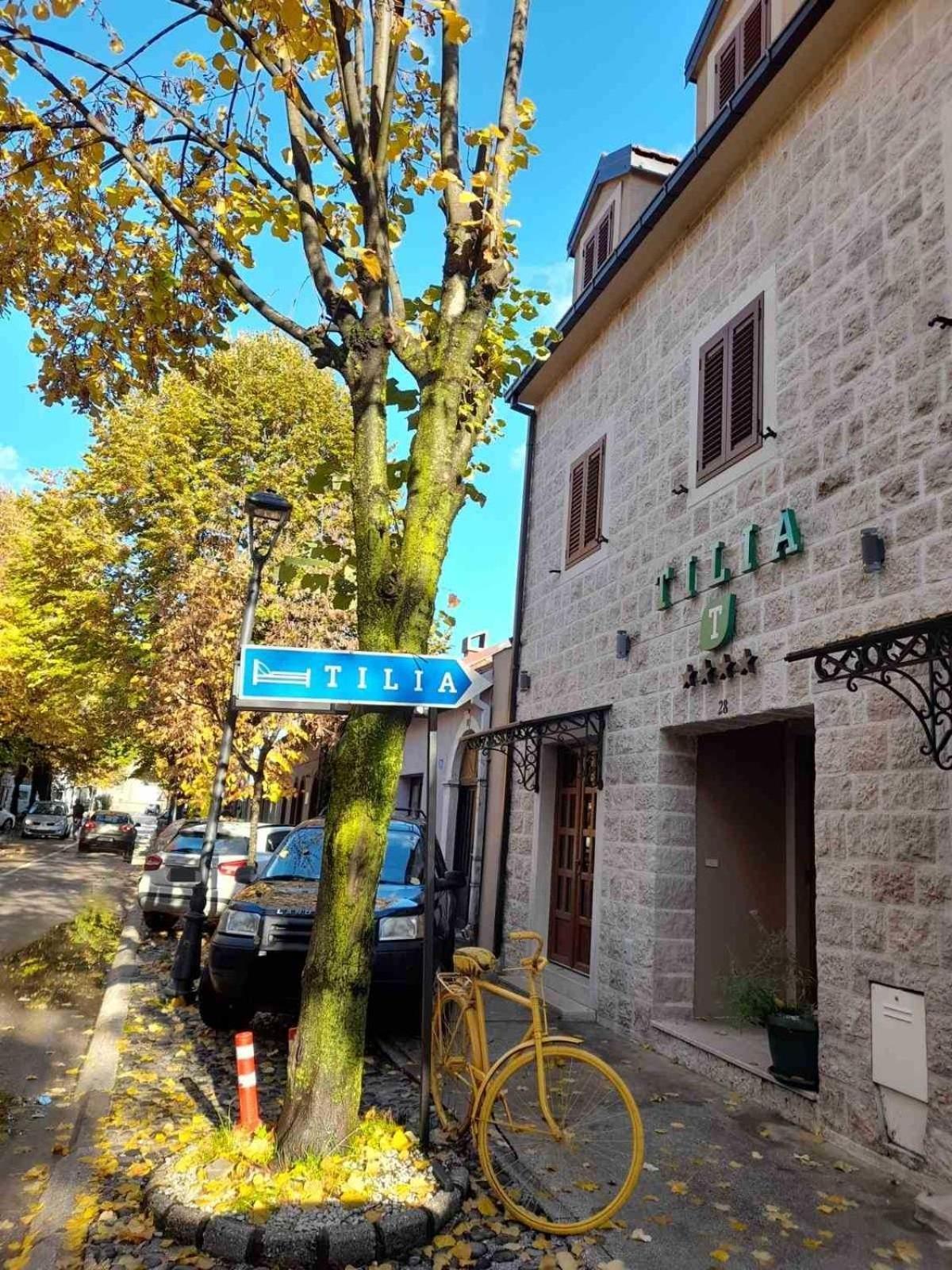ホテル Tilia ツェティニェ エクステリア 写真